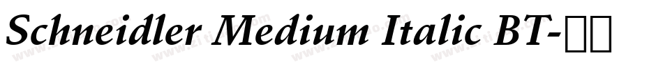 Schneidler Medium Italic BT字体转换